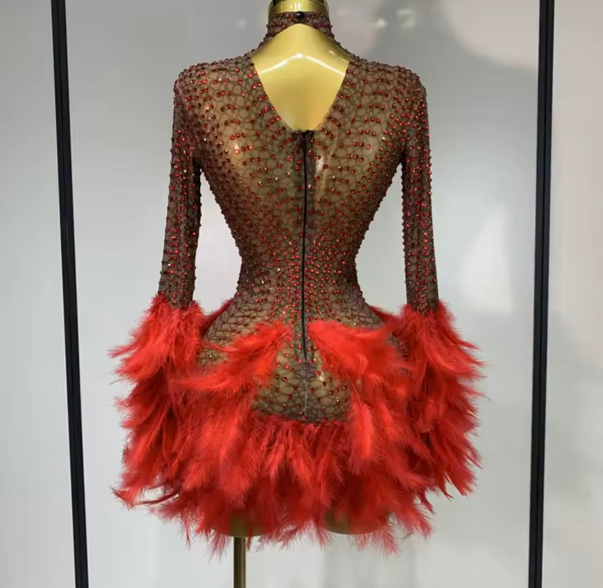 Sexy See Through Rhinestone Feather Full Sleeve Dress