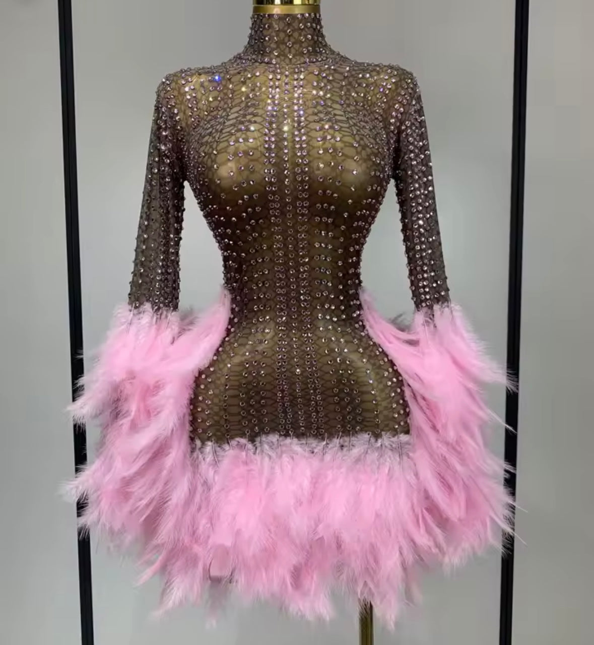 Sexy See Through Rhinestone Feather Full Sleeve Dress