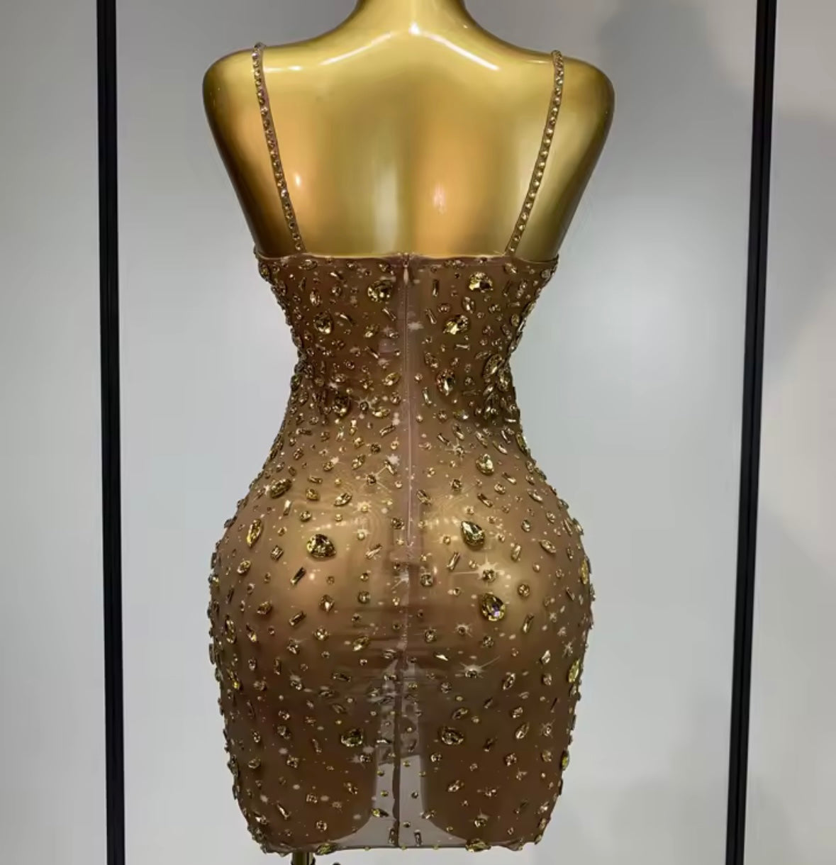 Sexy Sleeveless Rhinestone Embellishment See Through Dress