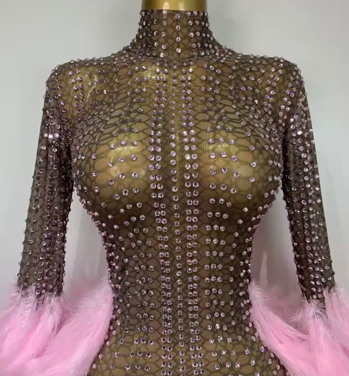 Sexy See Through Rhinestone Feather Full Sleeve Dress