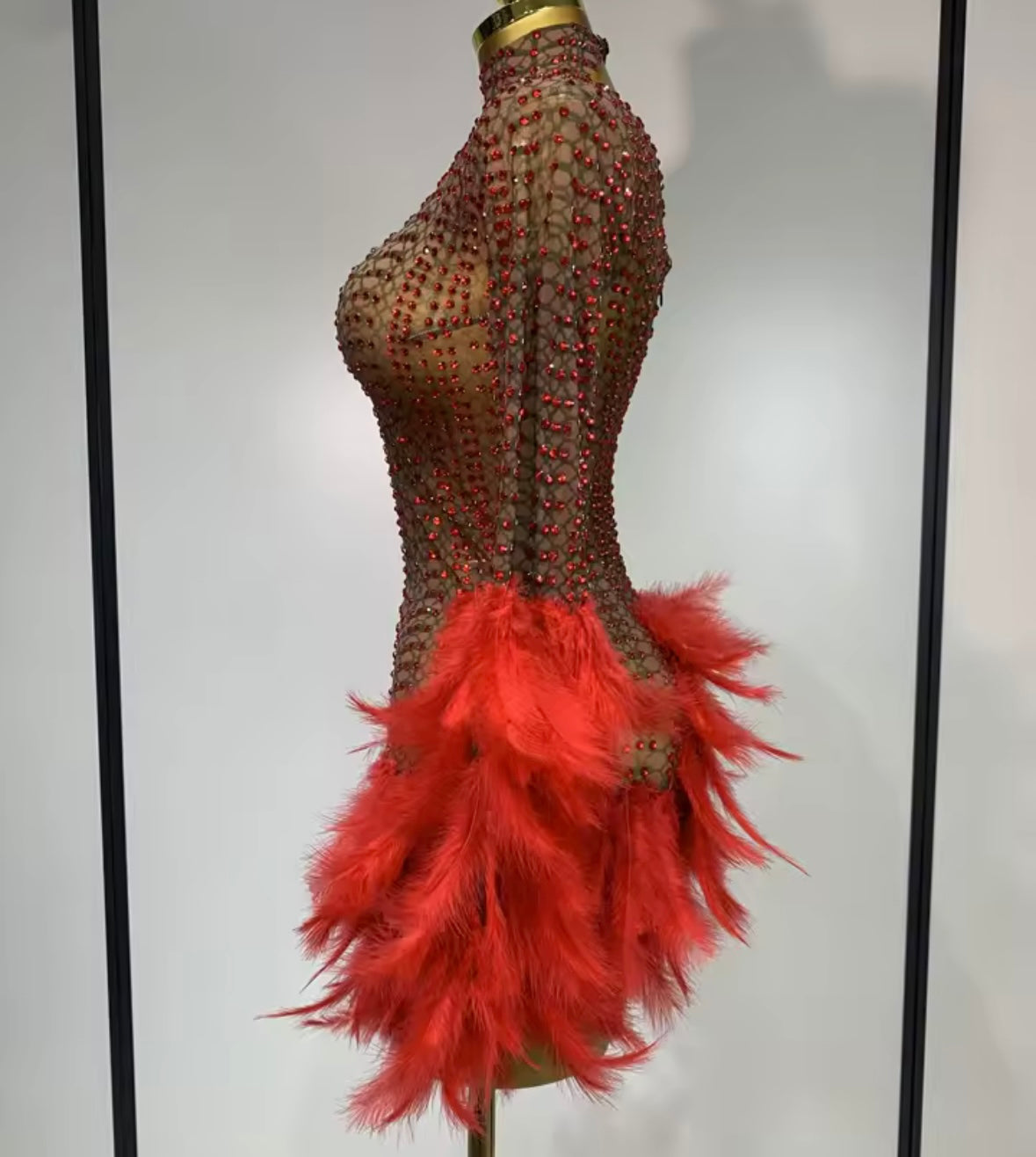 Sexy See Through Rhinestone Feather Full Sleeve Dress