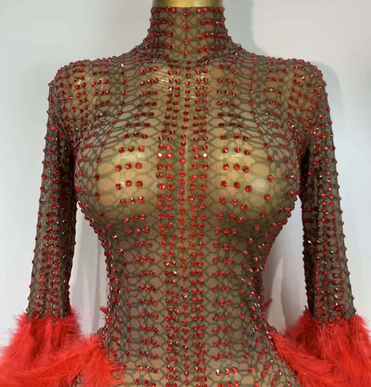 Sexy See Through Rhinestone Feather Full Sleeve Dress