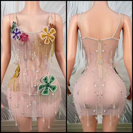Sexy See Through Beaded Crystal Floral Tassel Dress