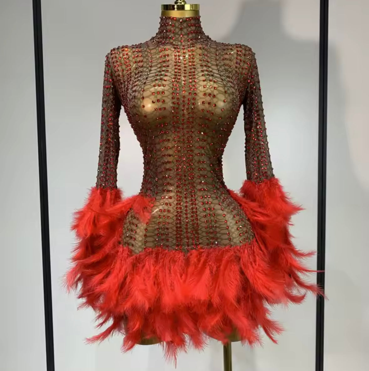 Sexy See Through Rhinestone Feather Full Sleeve Dress