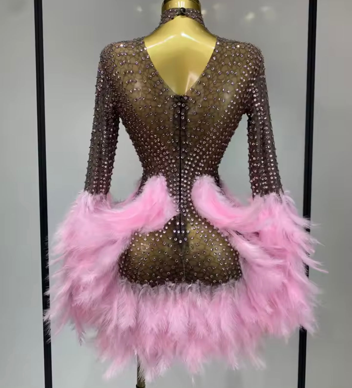 Sexy See Through Rhinestone Feather Full Sleeve Dress