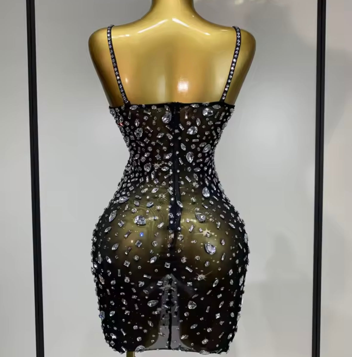 Sexy Sleeveless Rhinestone Embellishment See Through Dress