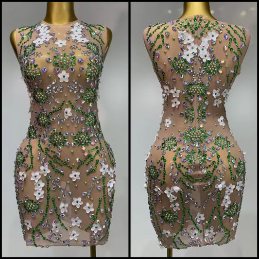 Sexy See Through Sleeveless Floral Rhinestone Dress