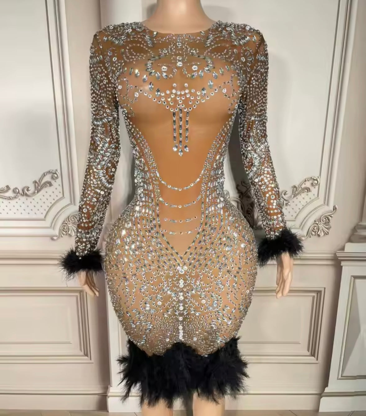 Sexy Rhinestone Embellishment Feather Full Sleeve Dress