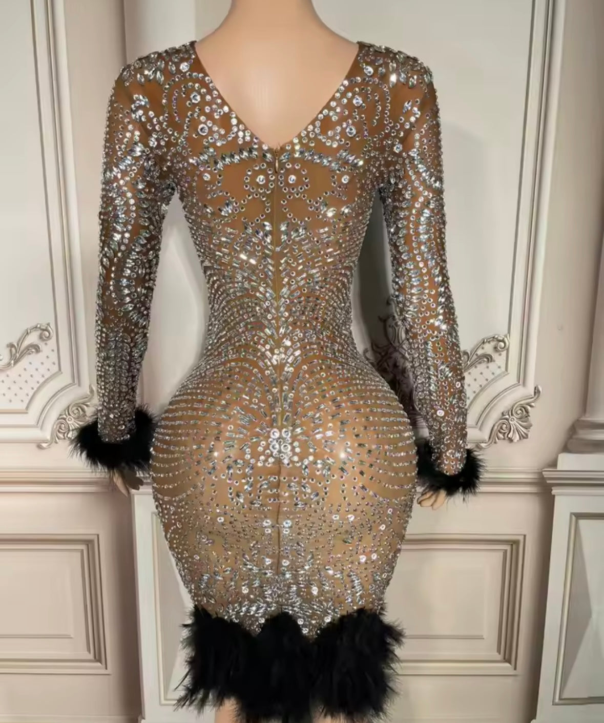 Sexy Rhinestone Embellishment Feather Full Sleeve Dress