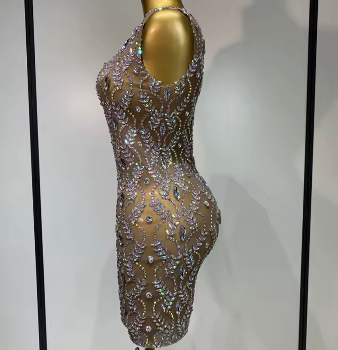 Sexy Rhinestone Embellishment Sleeveless See Through Dress