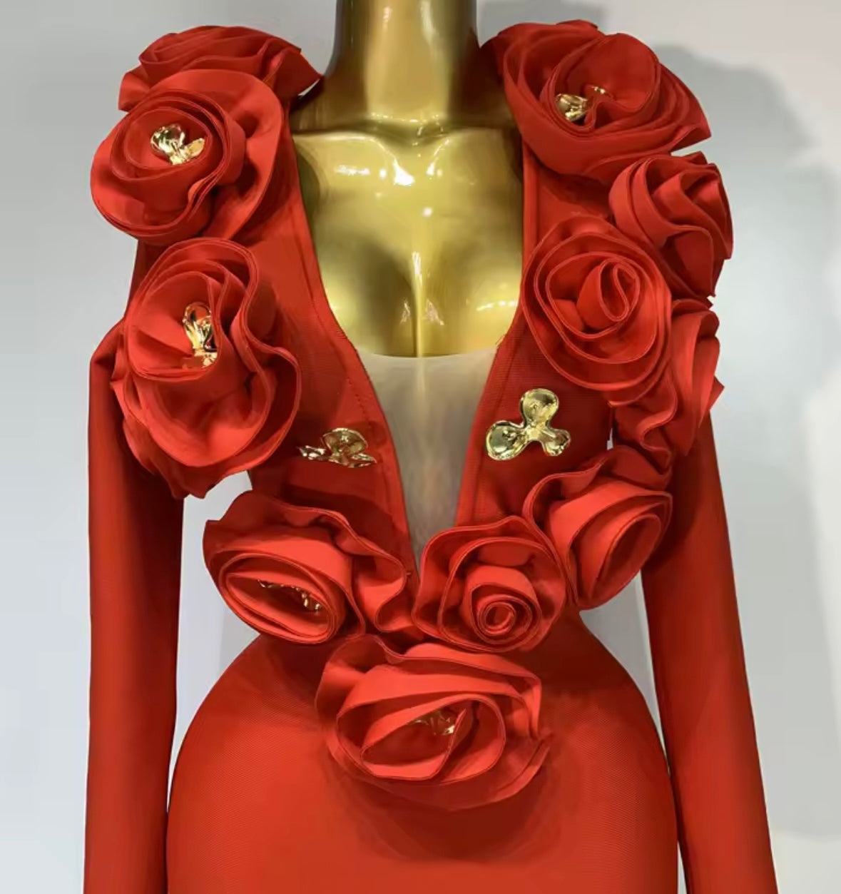 Elegant Floral Embellishment Full Sleeve Maxi Dress