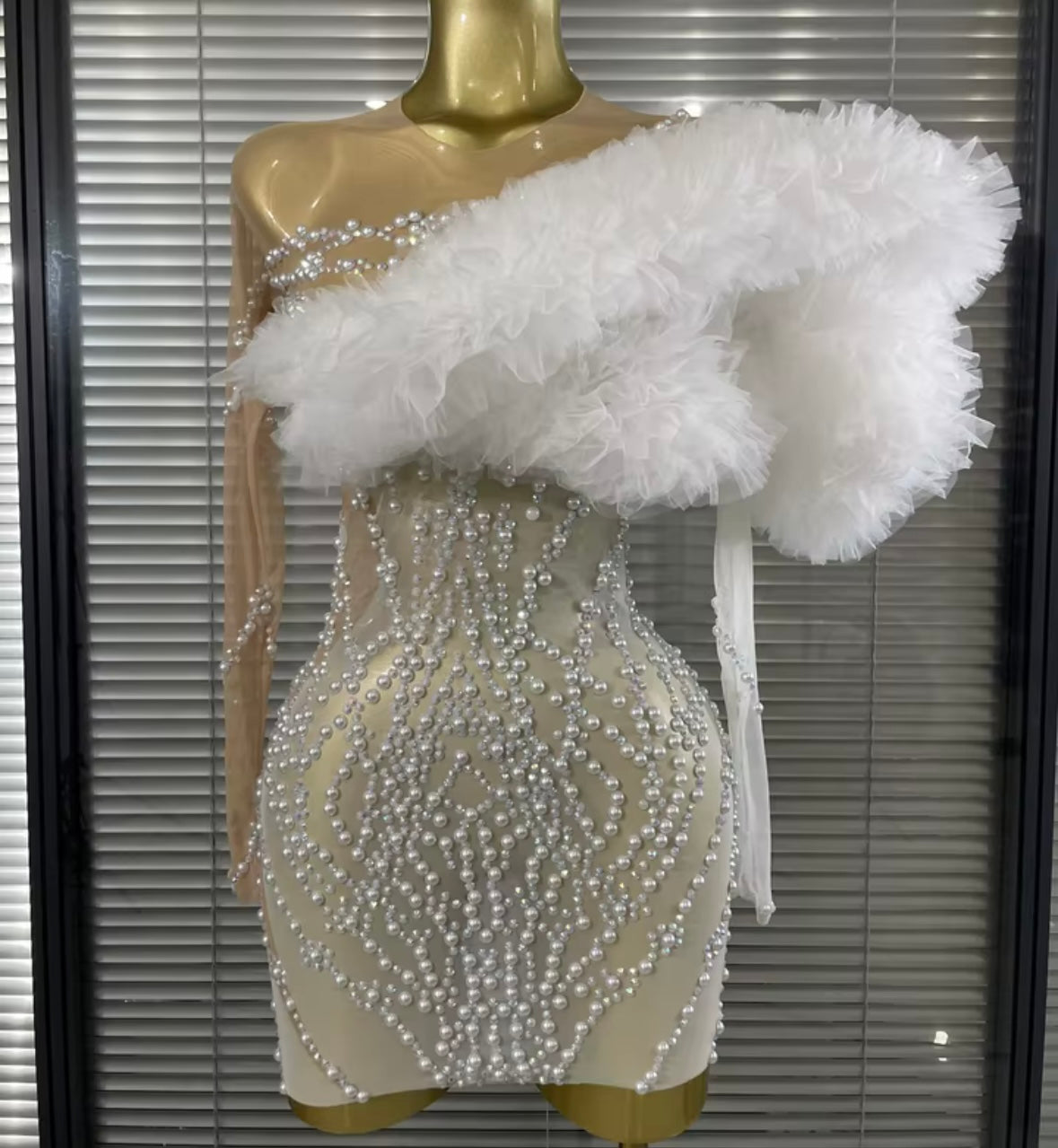 Sexy Beaded Ruffle Full Sleeve See Through Dress