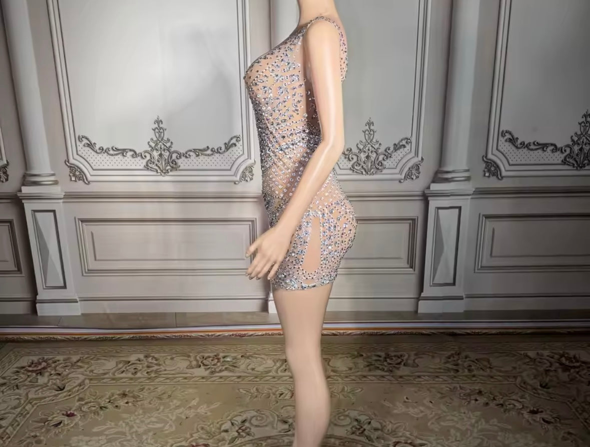 Sexy Sleeveless See Through Rhinestone Embellishment Dress