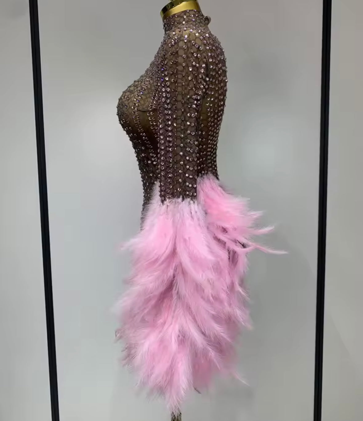 Sexy See Through Rhinestone Feather Full Sleeve Dress